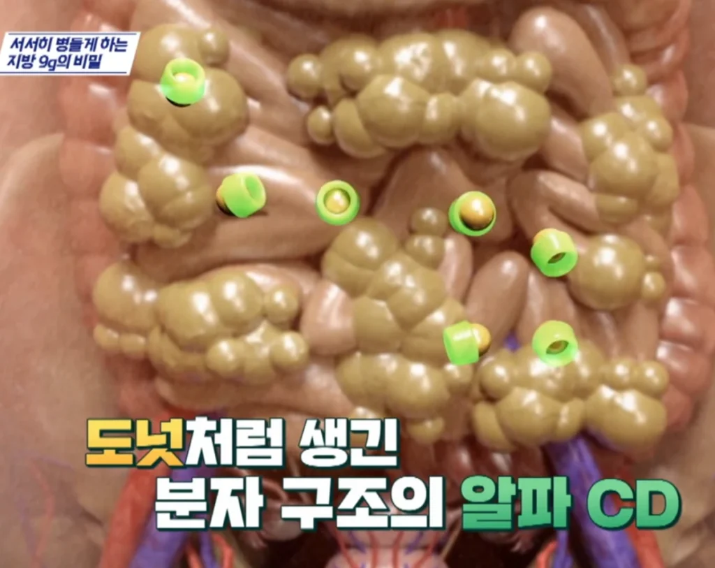 도넛모양-알파-CD