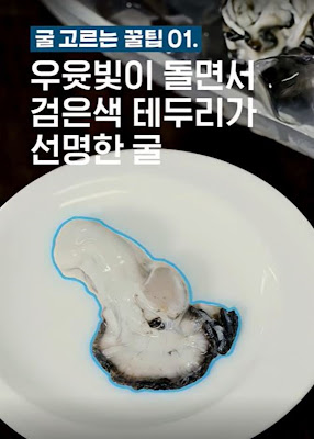 굴 고르는 팁1