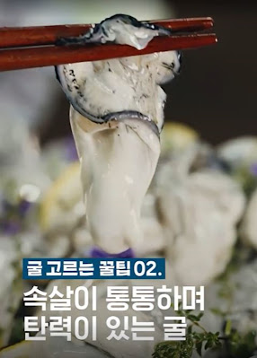 굴 고르는 팁2