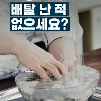 굴 안전하게 먹기