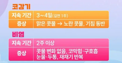 감기 비염 구분