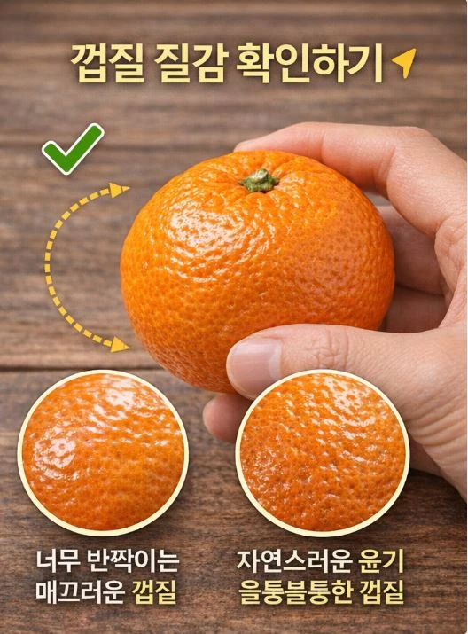 귤질감