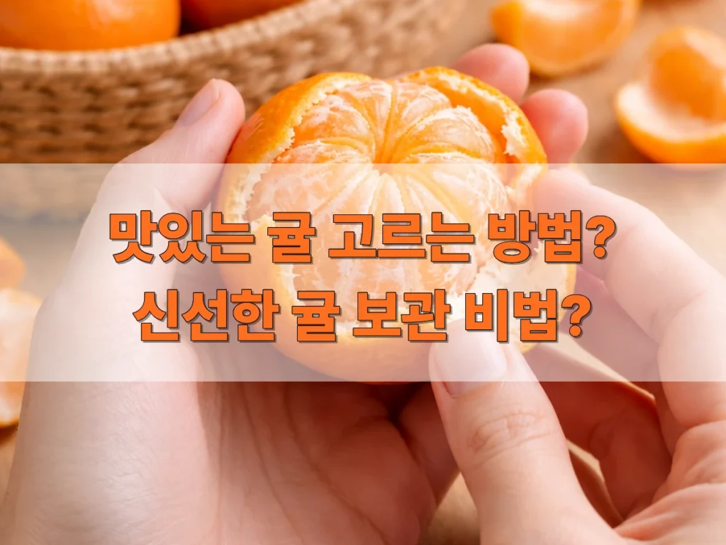맛있는-귤