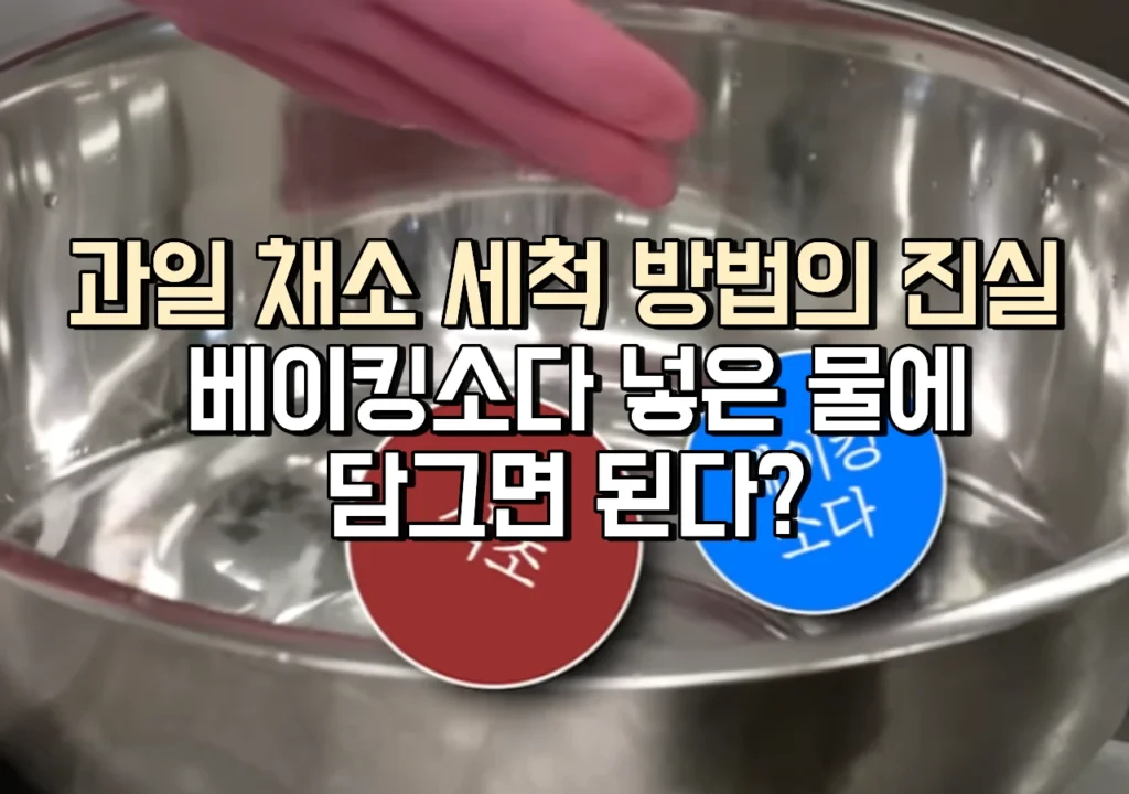 과일-채소-세척-방법