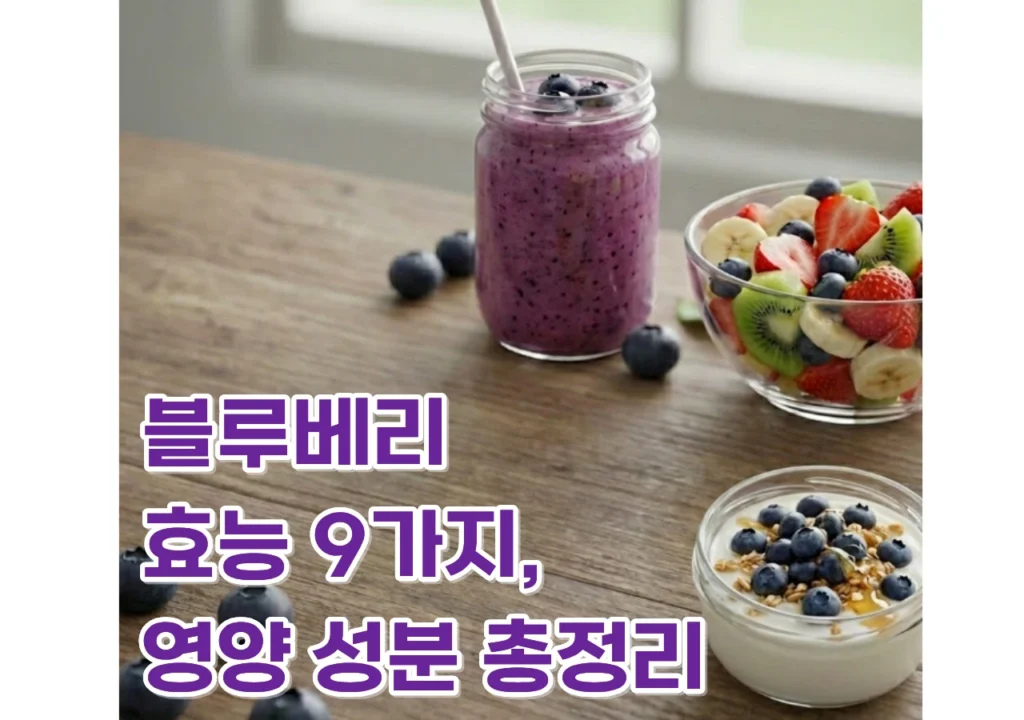 블루베리-효능-영양성분-총정리
