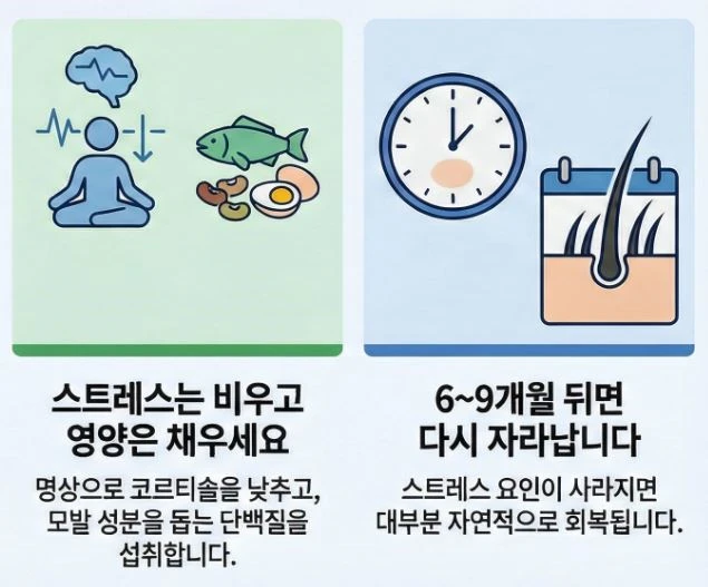 스트레스-탈모-재생