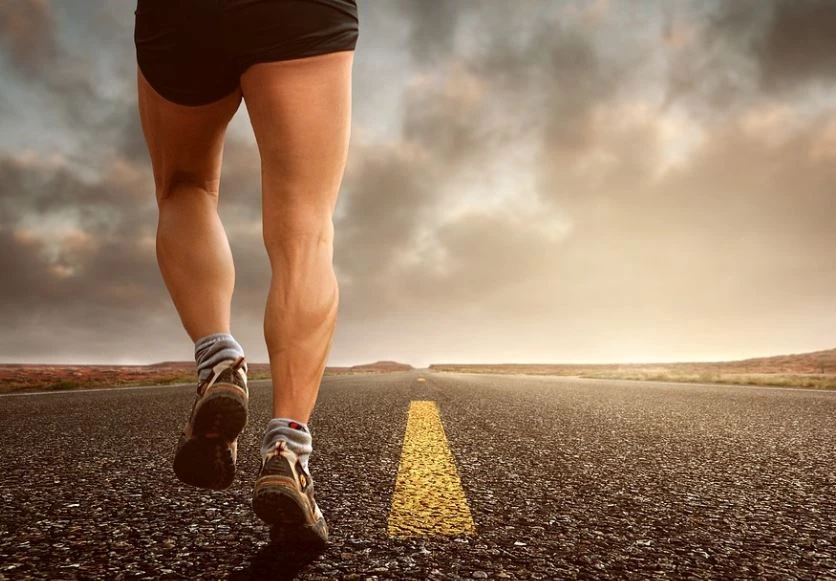 울트라마라톤-세포-노화