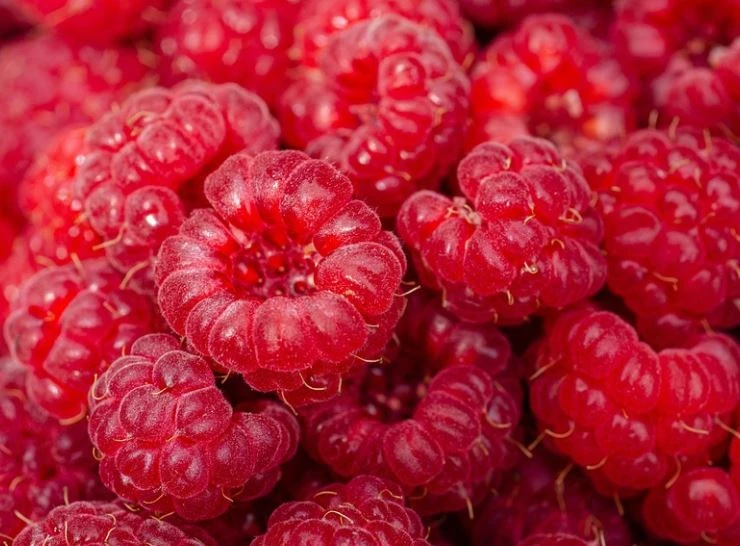 라즈베리