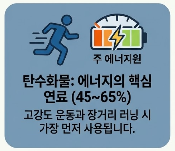탄수화물-활용