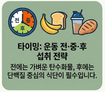 타이밍-섭취