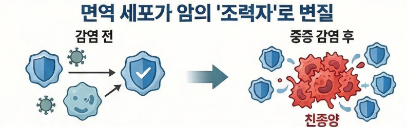 면역세포체계-붕괴