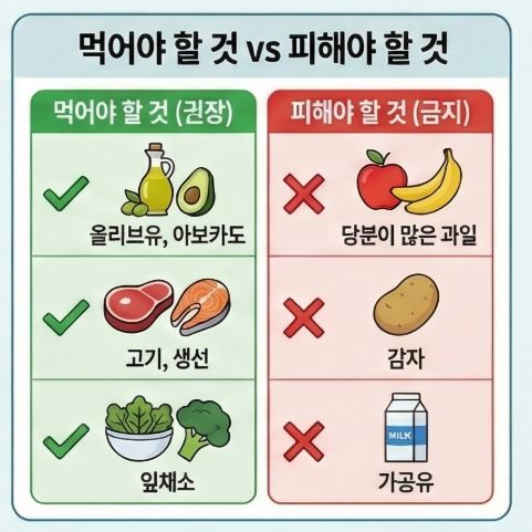 케노제닉-표