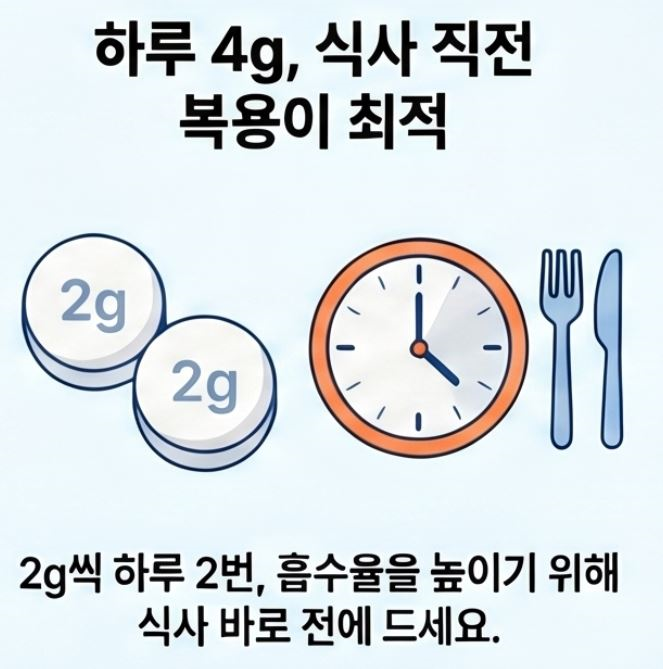 이노시톨-복용법