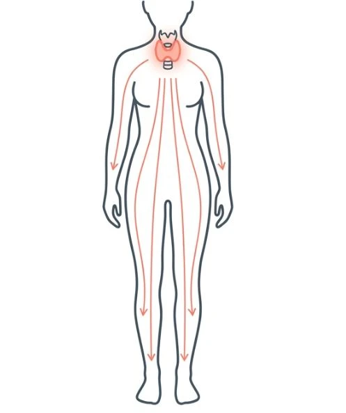 갑상선항진증