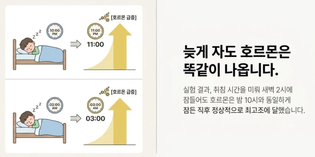 늦게-자도-호르몬은-똑같이